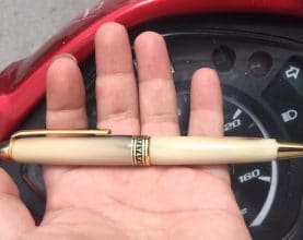 horn pen - buffalo horn pen
