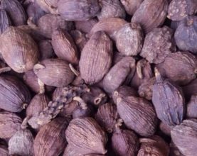 Vietnam cardamon dry