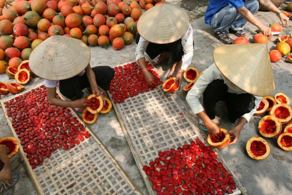 Take red Gac inside Gac fruit