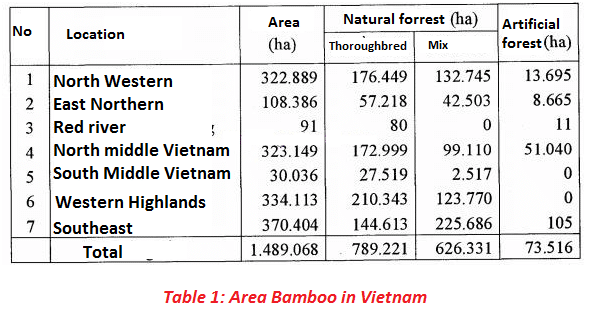 Area Bamboo forest in Vietnam