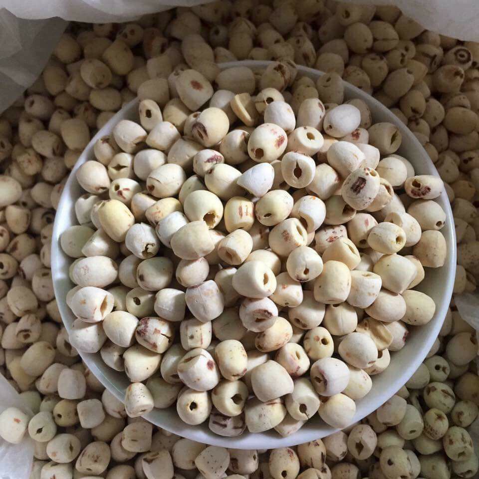dried lotus seed Vietnam