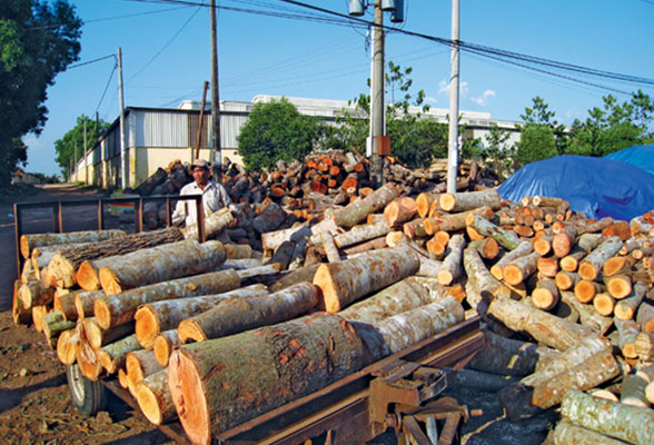 wooden box material