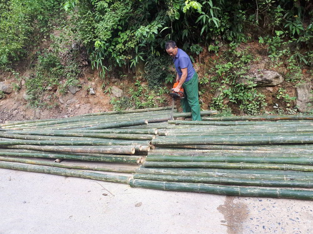 bamboo material
