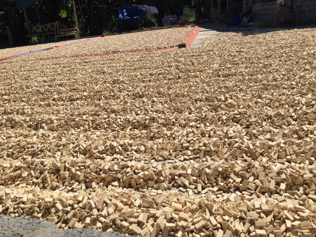 bamboo mats dried