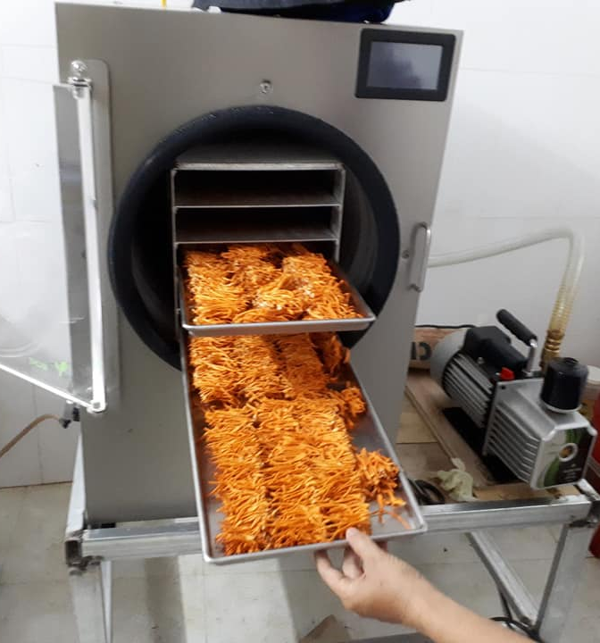 Step 5 Dry and preserve Cordyceps Militaris