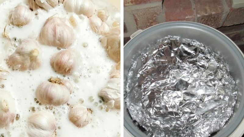 fermenting garlic