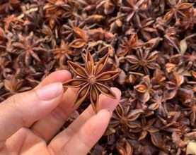 Star Anise Vietnam
