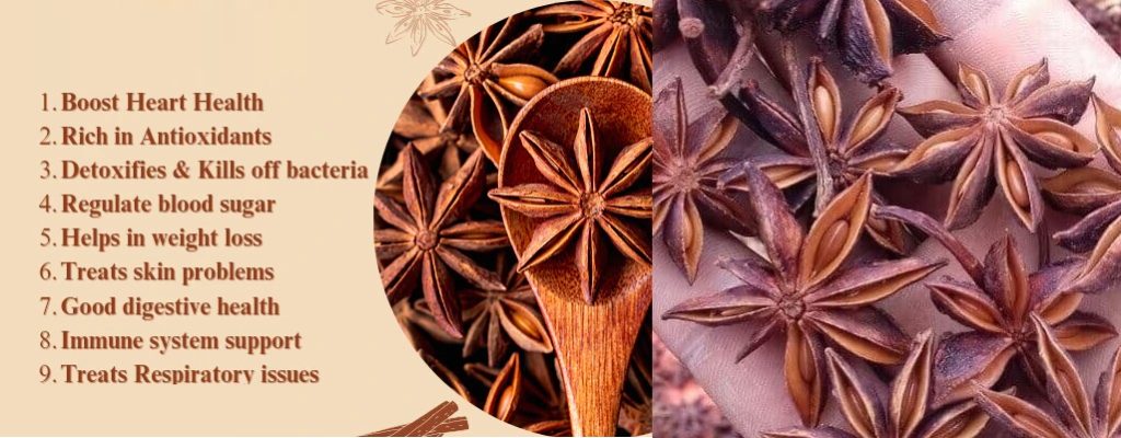 Star Anise Vietnam