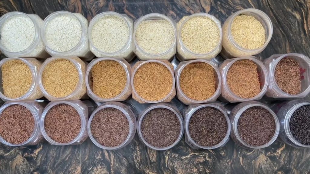 rice painting material