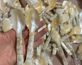 Handcrafted Mother of Pearl Spoons